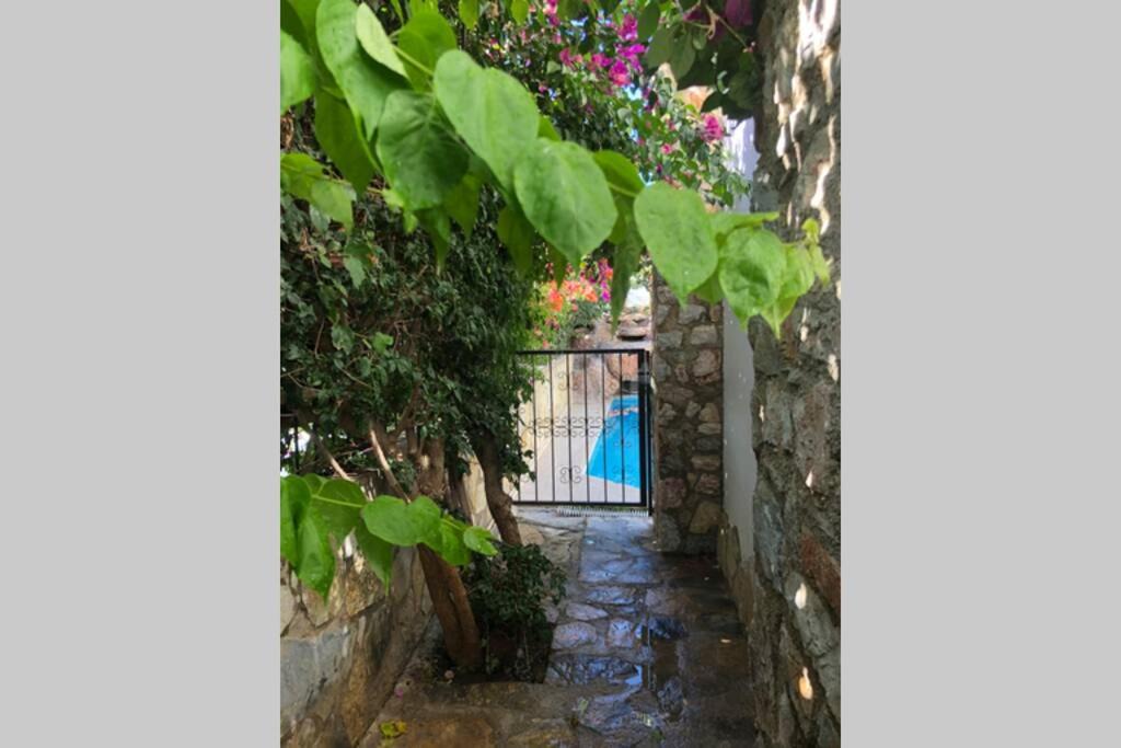 Photo of Buildings in Turgutreis