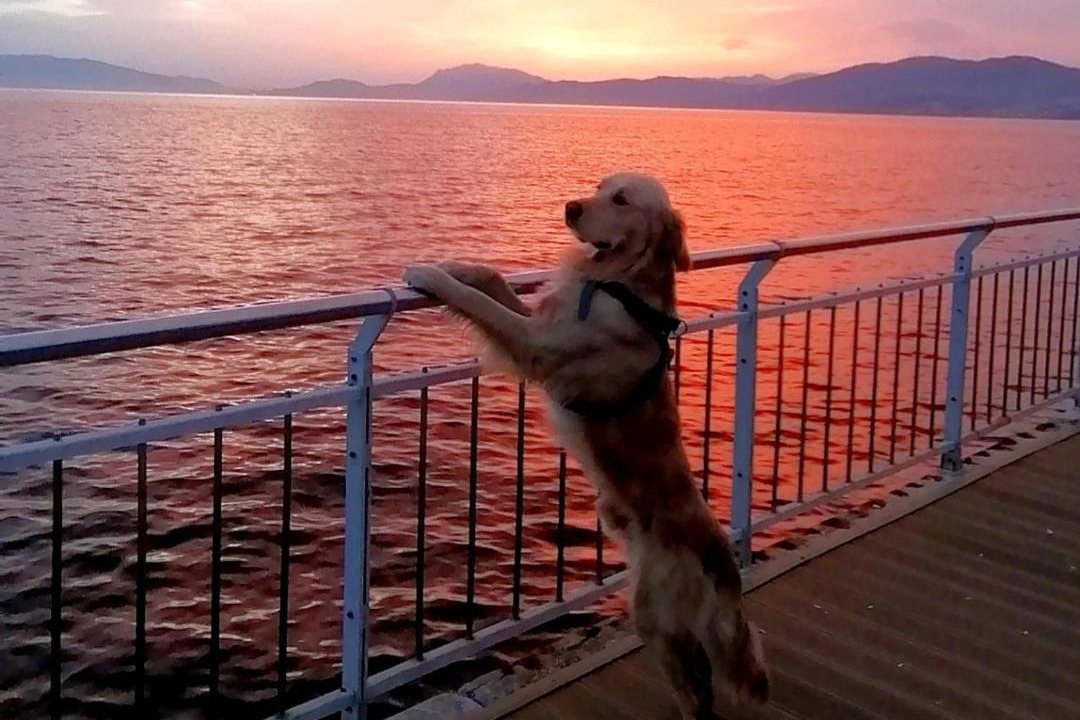 Photo of Others in Mudanya