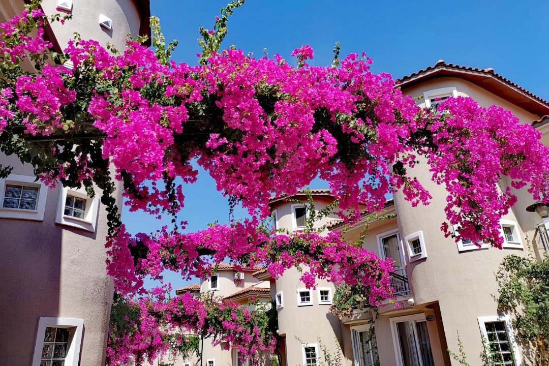 Photo of Bedroom in Fethiye City Center