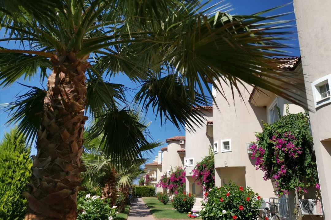 Photo of Livingroom in Fethiye City Center