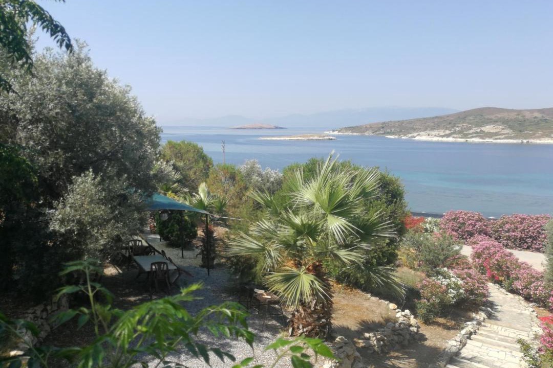 Photo of Others in Foca