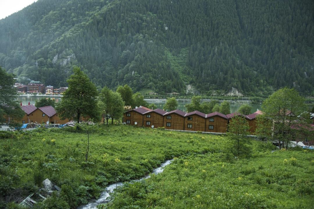 Photo of Others in Uzungol