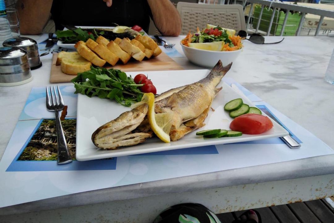 Photo of Others in Dalyan City Center