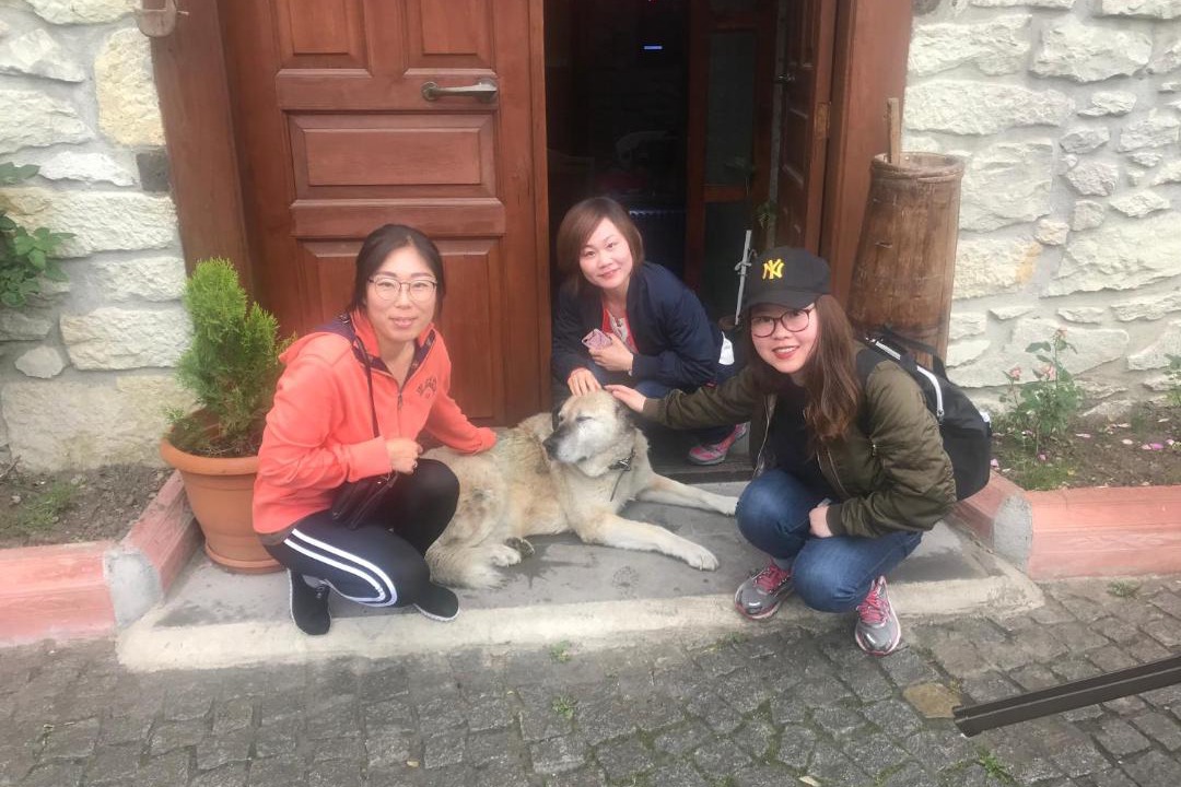 Photo of Human In Picture in Safranbolu City Center