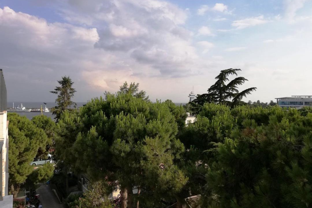 Photo of Others in Pendik District