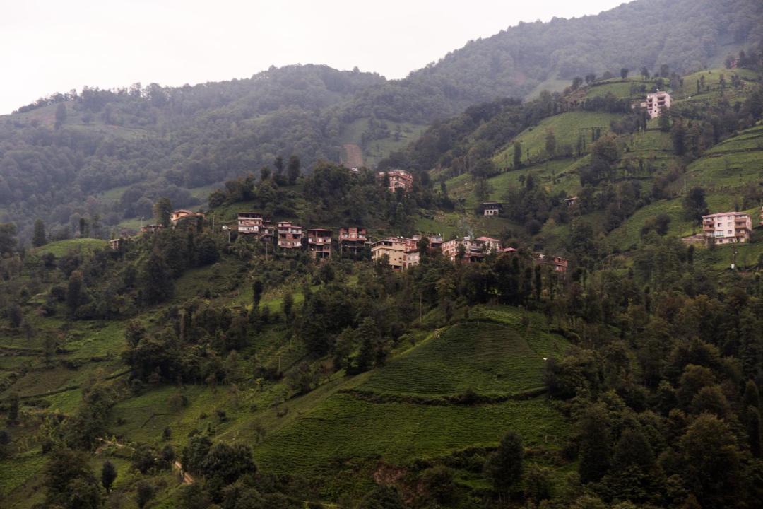 Photo of Others in Ayder