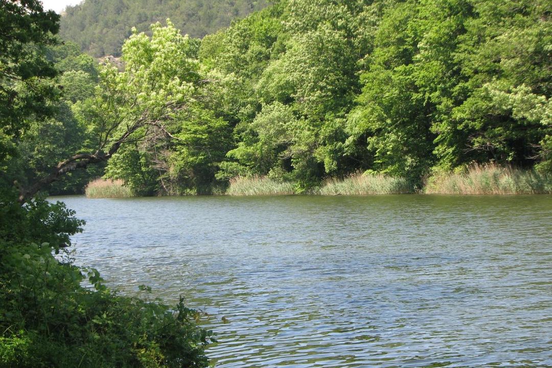 Photo of Others in Saray