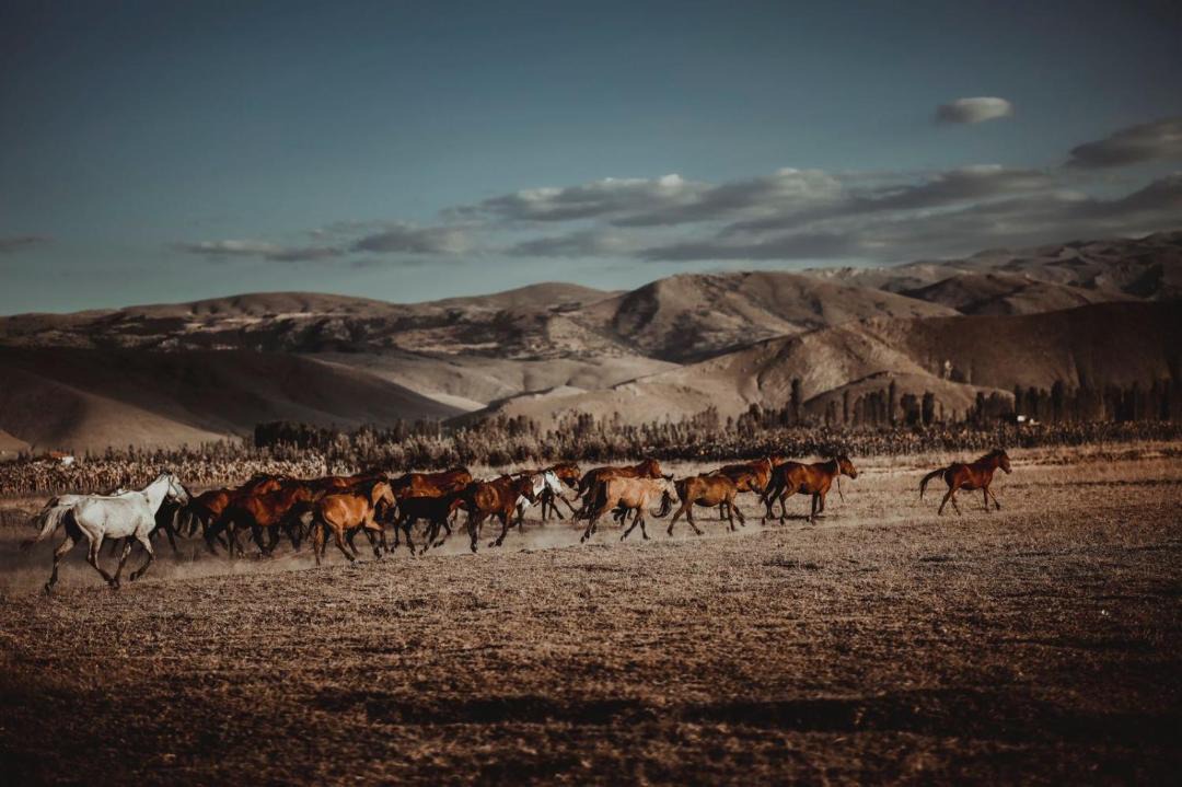 Photo of Others in Ovaciftlik
