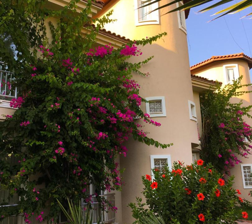 Photo of Buildings in Fethiye City Center