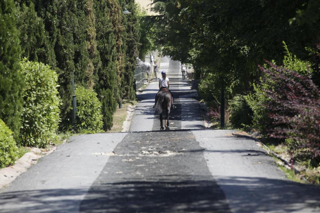 Photo of Others in Eyup