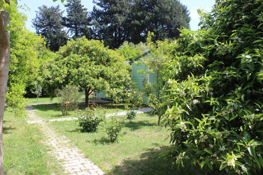 Photo of Others in Cirali