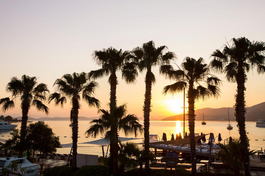 Photo of Others in Torba