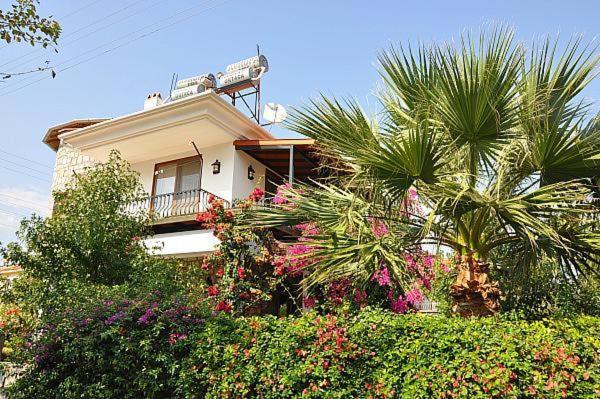 Photo of Others in Dalyan City Center