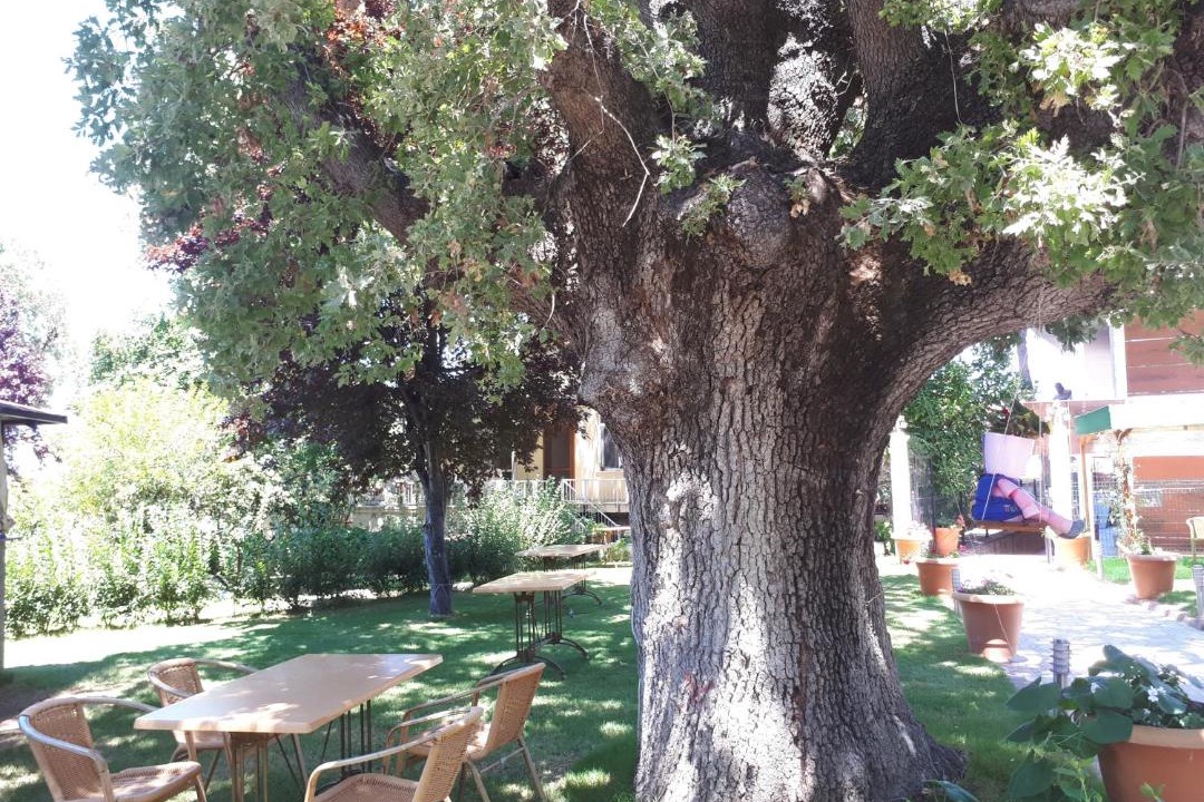 Photo of Others in Oren Mahallesi