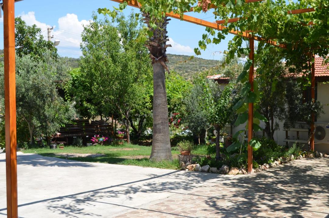 Photo of Others in Patara