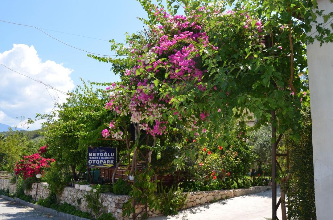 Photo of Others in Patara