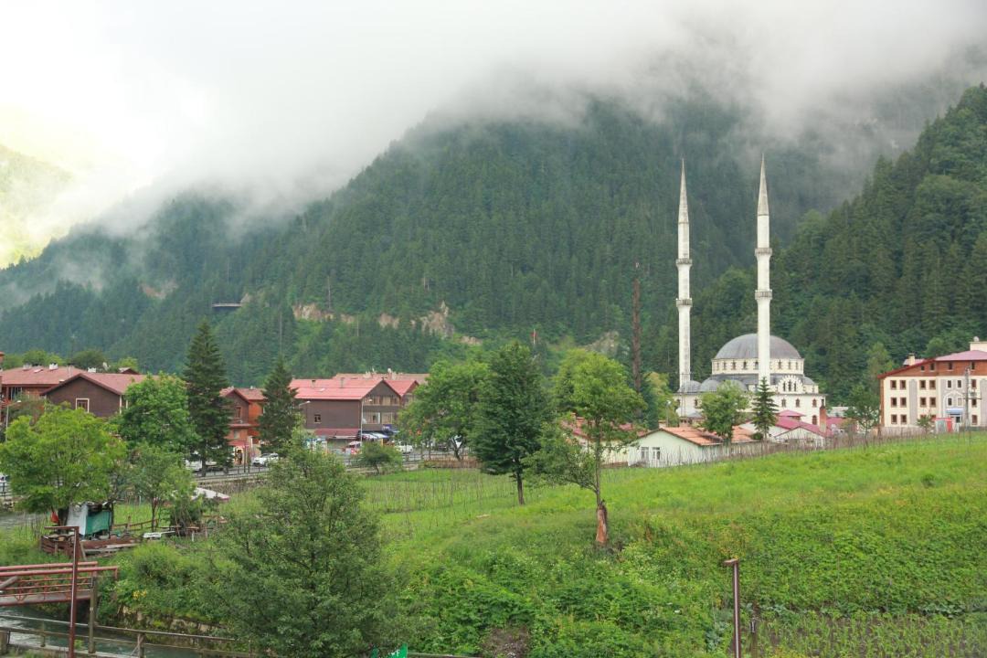 Photo of Others in Uzungol