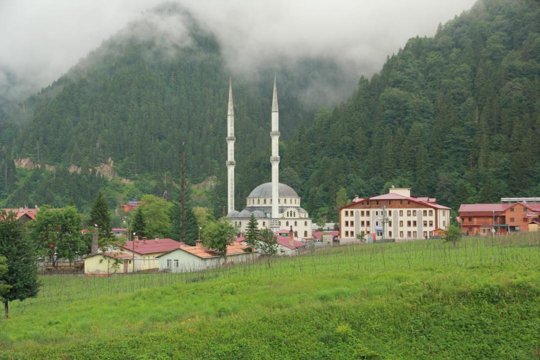 Photo of Others in Uzungol