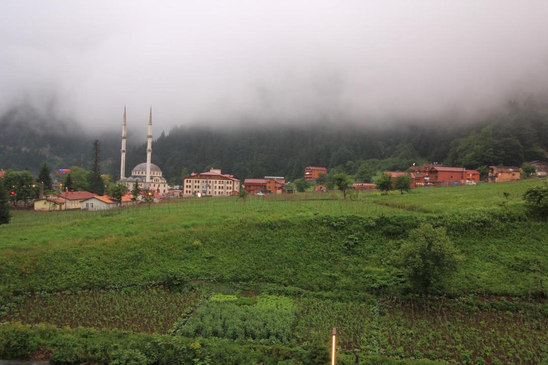 Photo of Others in Uzungol