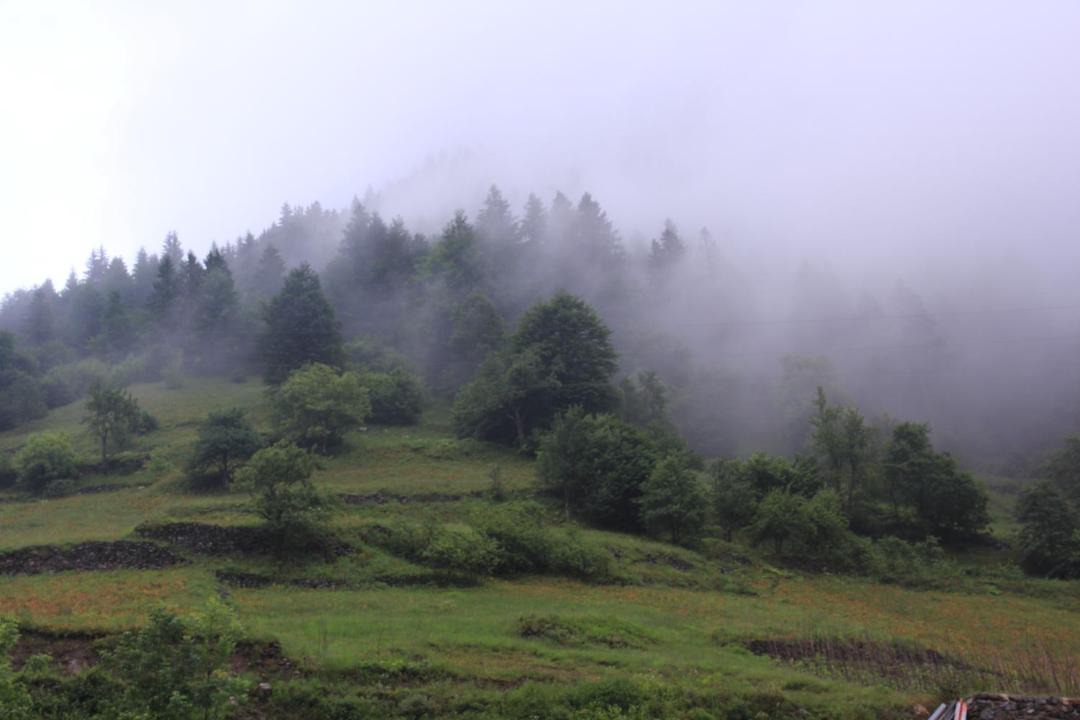 Photo of Others in Uzungol