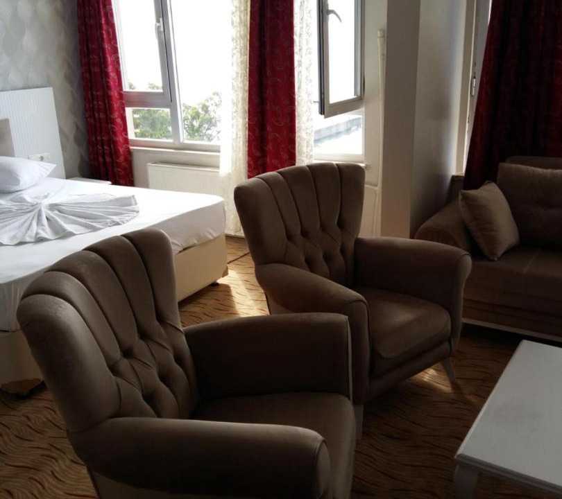 Photo of Livingroom in Hopa