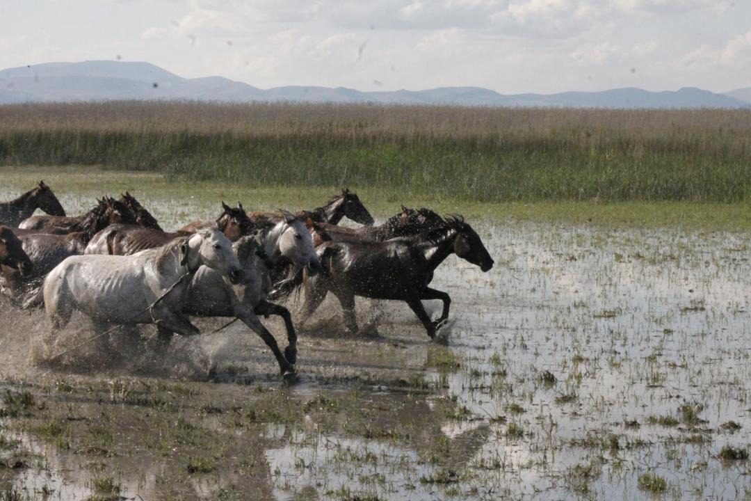 Photo of Others in Ovaciftlik
