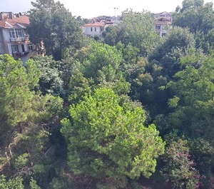 Kadıköy 