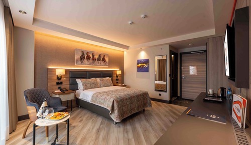 Double or Twin Room