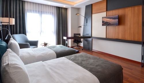 Standard Double or Twin Room