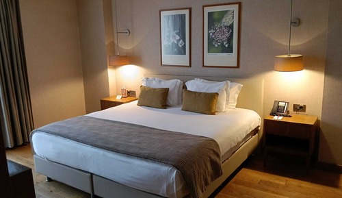 Suite, 1 King Bed