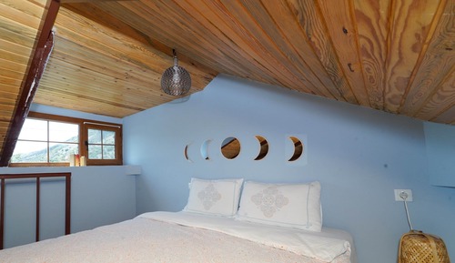 Standard Tree House