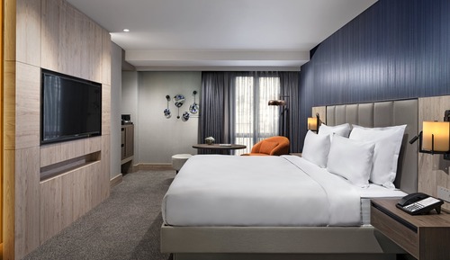 Premium Room, 1 King Bed with Sofa bed (Bosphorus Bridge View)