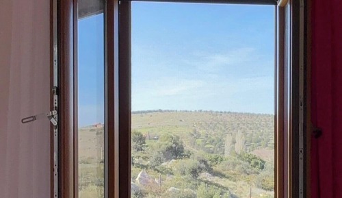 Standard Room, Hill View