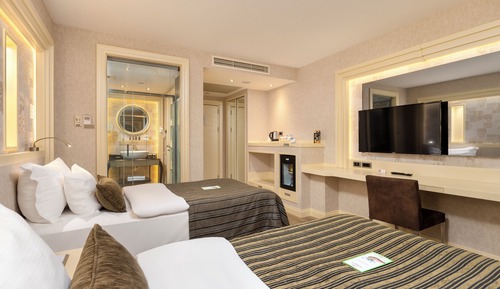 Deluxe Twin Room