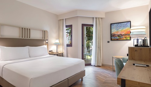 Room, 1 King Bed