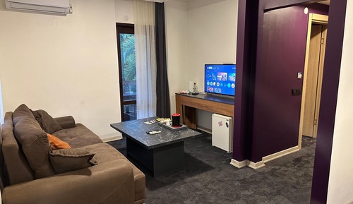 Junior Room, 1 Queen Bed, Smoking, Pets Allowed