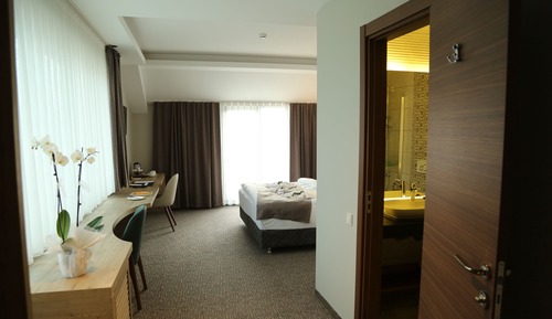 Superior Double or Twin Room