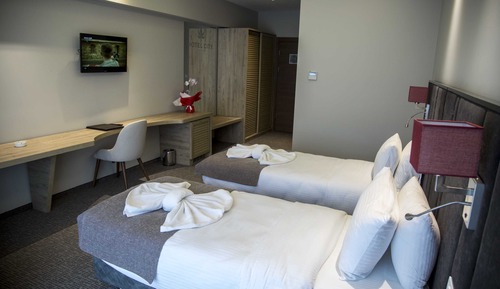 Standard Double or Twin Room