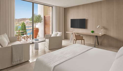 Premier Room, 1 King Bed