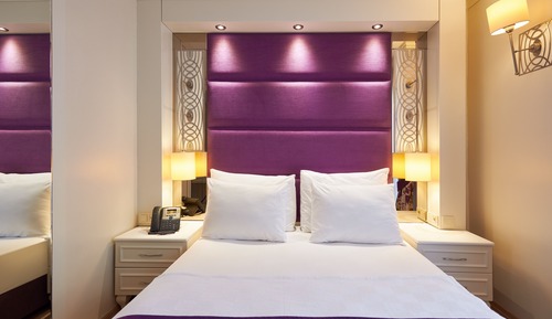 Standard Mountain View Room