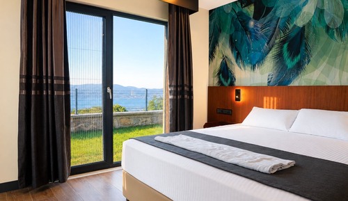 Deluxe Room, 1 King Bed, Non Smoking, Lake View
