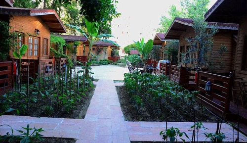 Traditional Bungalow, Balcony, Garden View