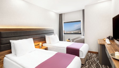 Economy Room