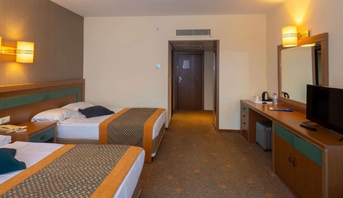 Standard Room, Mountain View