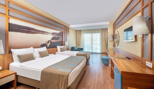 Standard Room, Mountain View