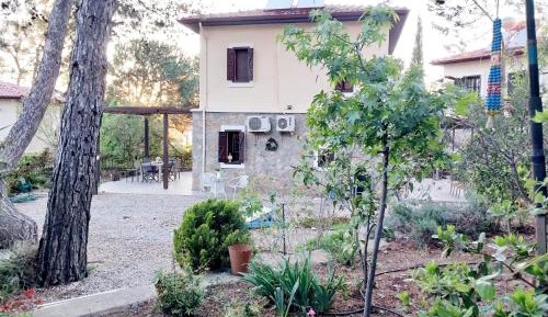 One-Bedroom Villa