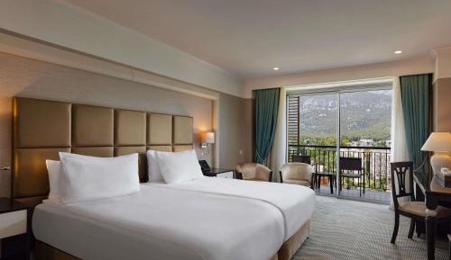 Classic Room with Mountain View