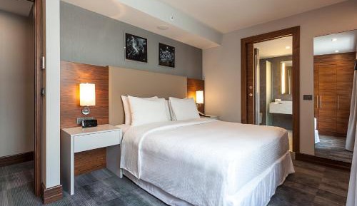 Selection King Suite