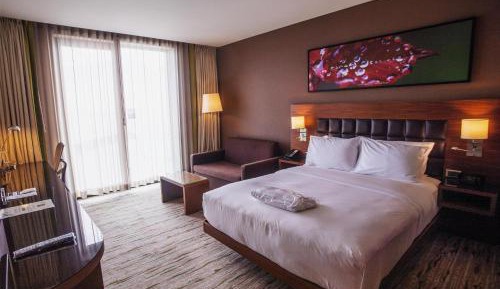 Deluxe Queen Family Room with View
