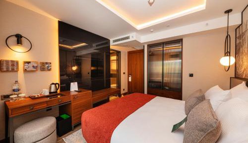 Superior Queen Room